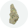 Flowers Icon